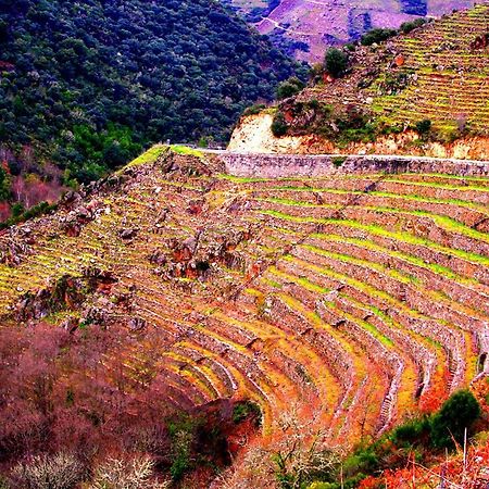 Castelodobispo - Ourense Sobrado del Obispo المظهر الخارجي الصورة