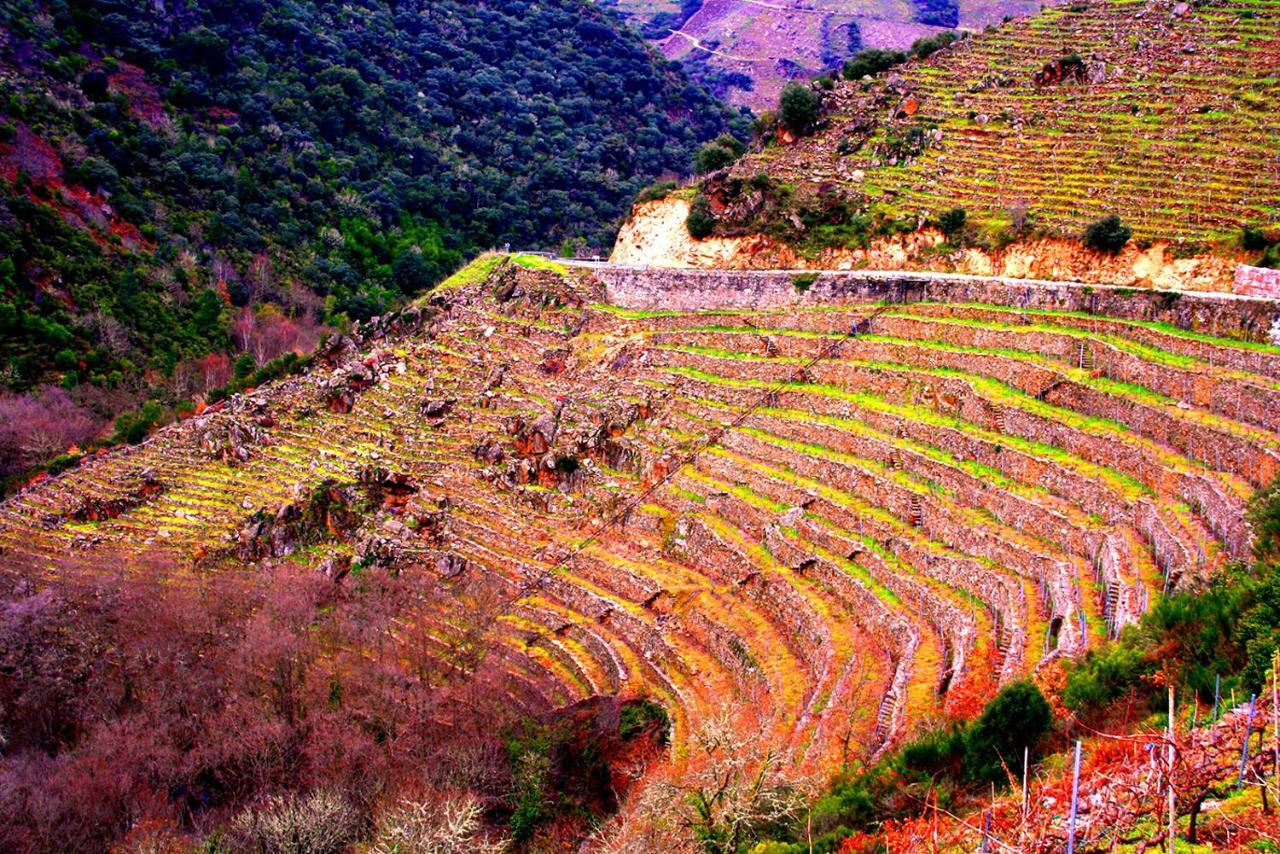Castelodobispo - Ourense Sobrado del Obispo المظهر الخارجي الصورة